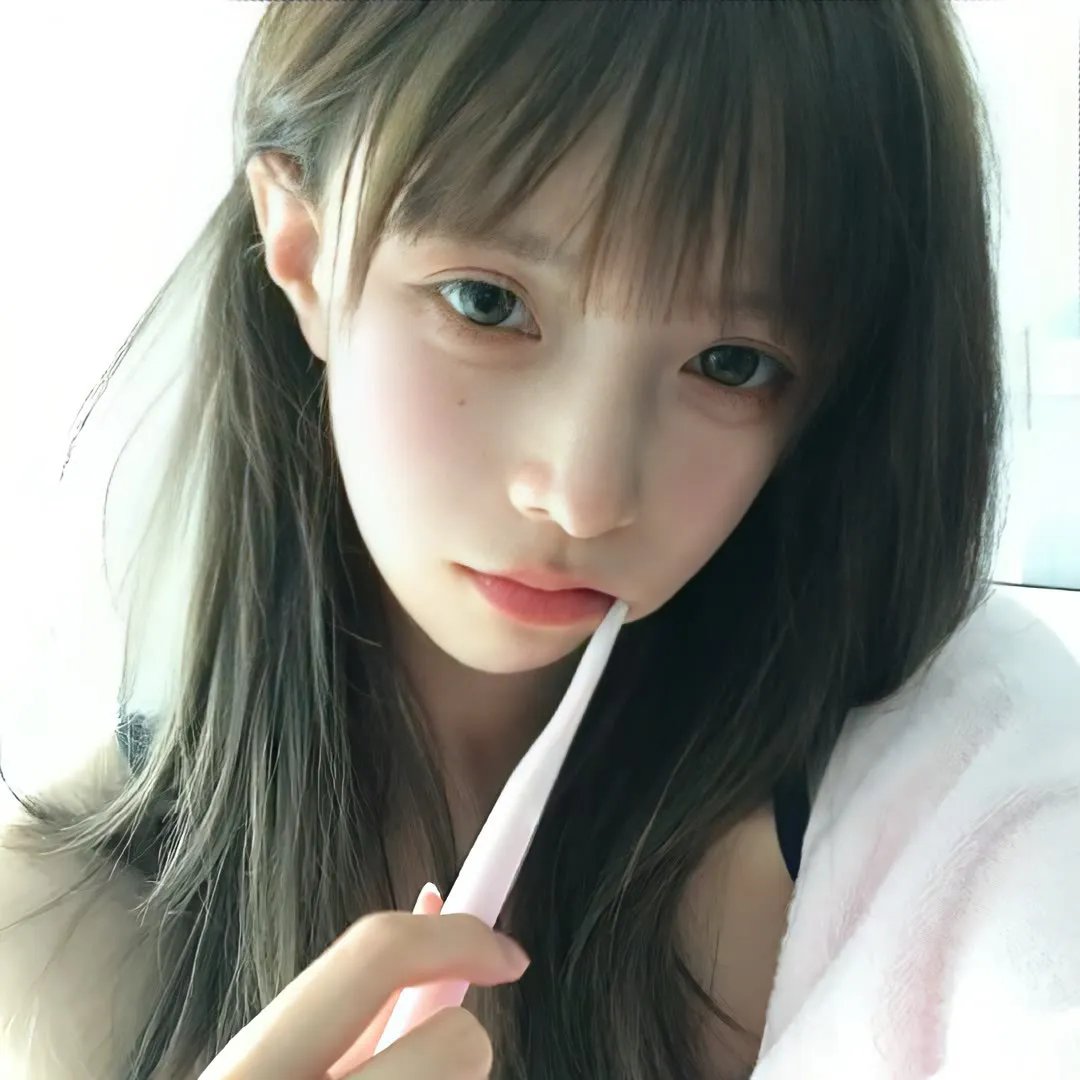 森林之境